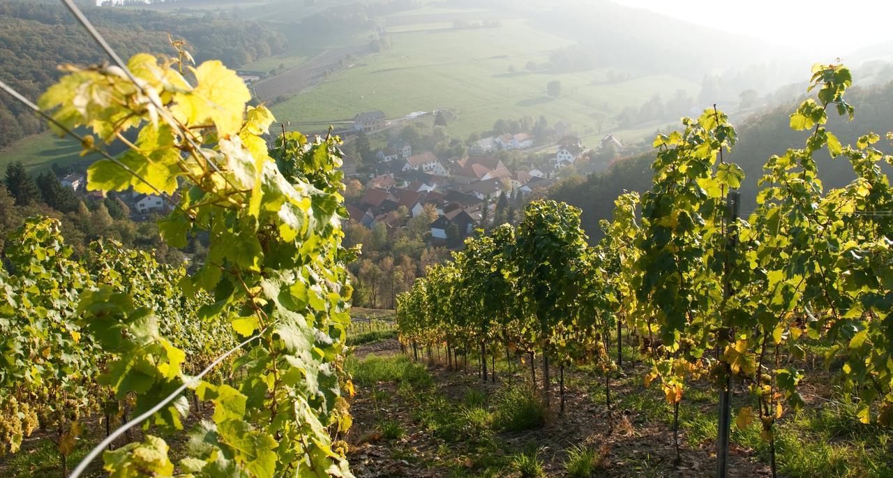 Weingut Hees - Landgasthof Zum Jaeger Aus Kurpfalz Auen Экстерьер фото
