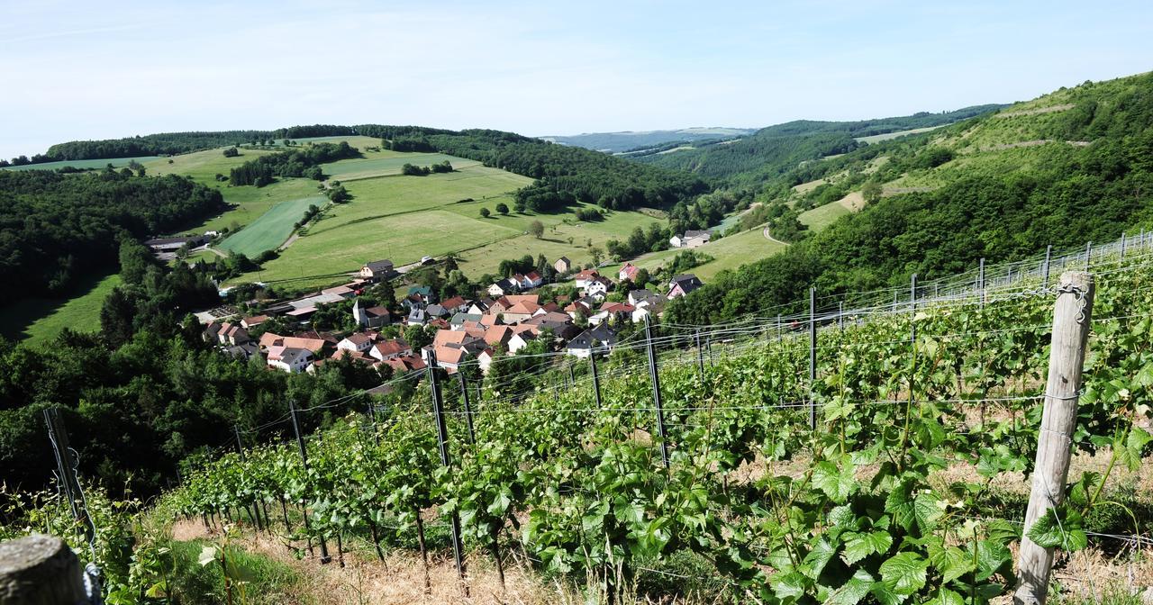 Weingut Hees - Landgasthof Zum Jaeger Aus Kurpfalz Auen Экстерьер фото