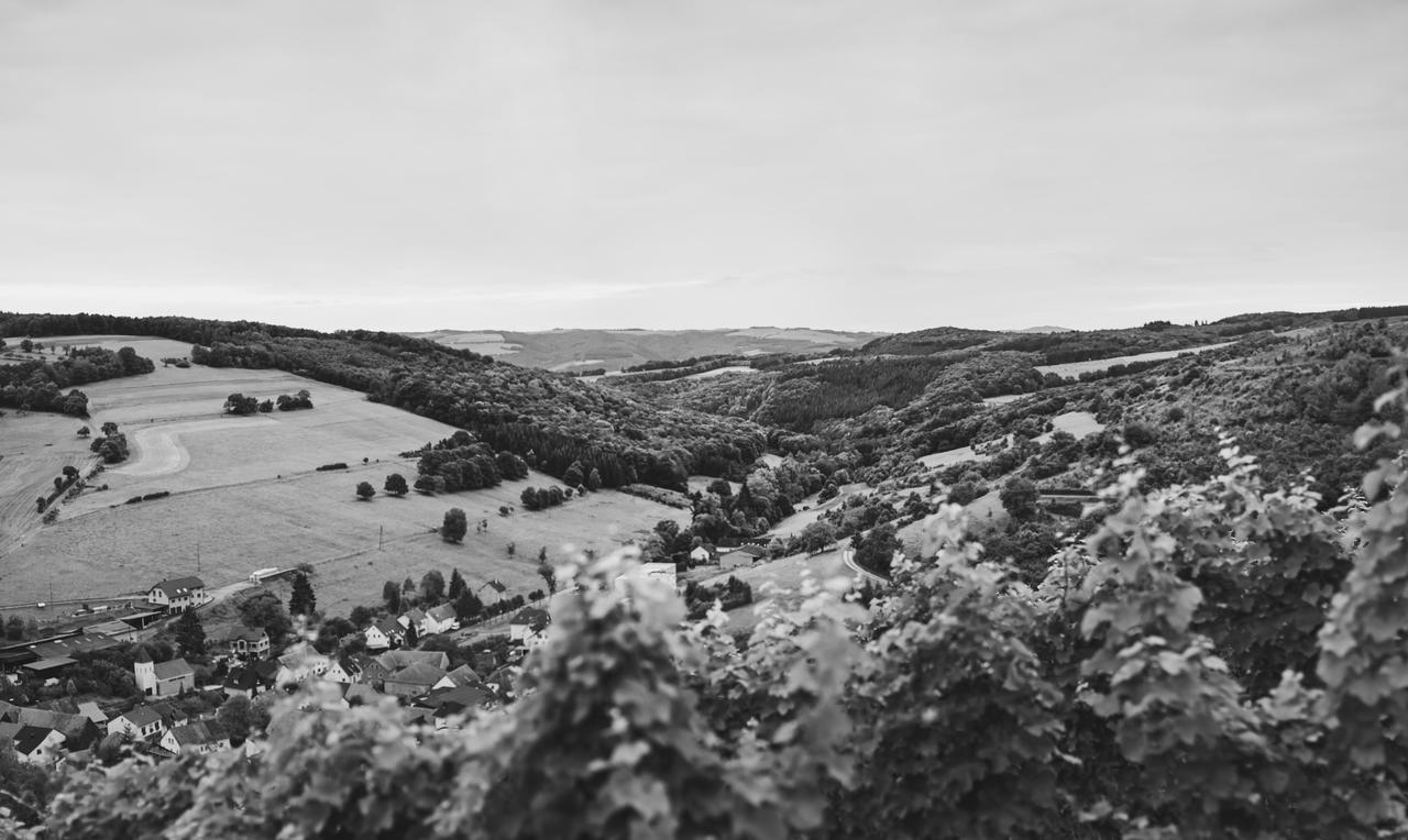 Weingut Hees - Landgasthof Zum Jaeger Aus Kurpfalz Auen Экстерьер фото